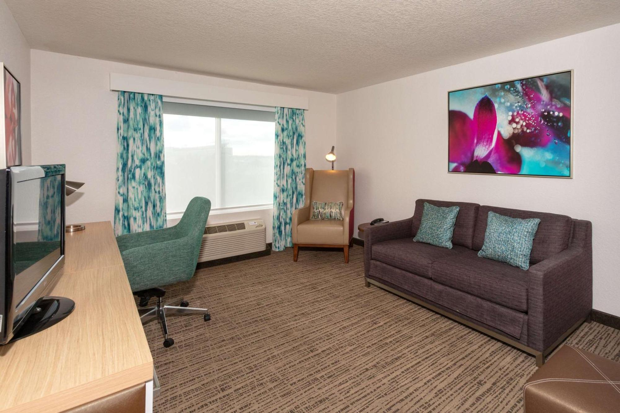 One-Bedroom King Suite Sofa Bed